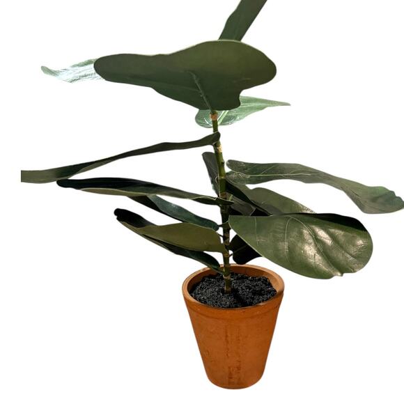 POTTERY BARN Small Faux Fiddle Leaf Fig Tree - Picture 2 of 9